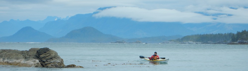 Zack Kruzins' Experience Profile